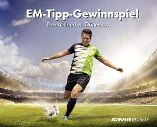 EM-Tipp-Gewinnspiel (308 x 250 px) (2)