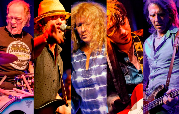 A collage of the artists of the band “The Hamburg Blues Band” on stage singing or playing guitar.